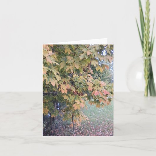 Nebeliger Herbst-Tag Notecard Karte (Vorderseite)
