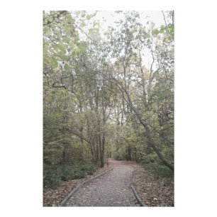 Nebeliger Herbstwaldweg Fotodruck