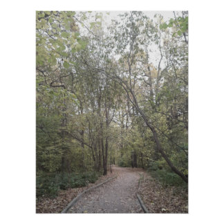 Nebeliger Herbstwaldweg Poster
