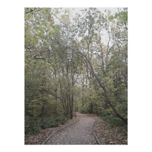 Nebeliger Herbstwaldweg Poster (Vorderseite)