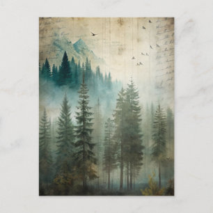Nebeliger Kiefernwald-Natur-Abenteuer Postkarte