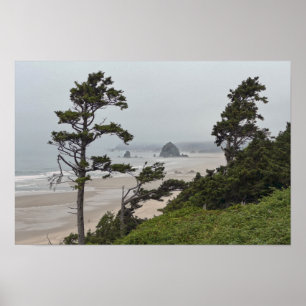 Nebeliger Morgen am Cannon Beach, Oregon Poster