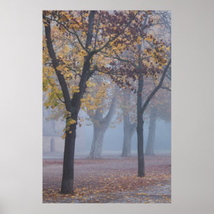 Nebeliger Morgen im Dompark Poster