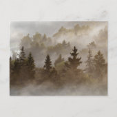 Nebeliger Morgen im Tal Postkarte (Vorderseite)
