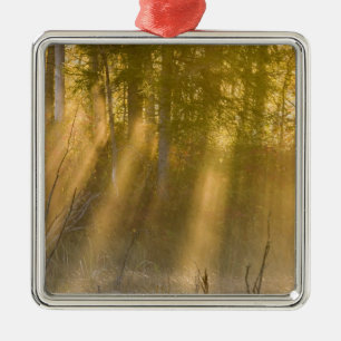 Nebeliger Sonnenaufgang im Tamarac NWR bei Detroit Silbernes Ornament