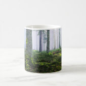 Nebeliger Wald bei Morgendämmerung Foto Kaffeetasse (Mittel)