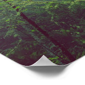 Nebeliger Wald Poster (Ecke)