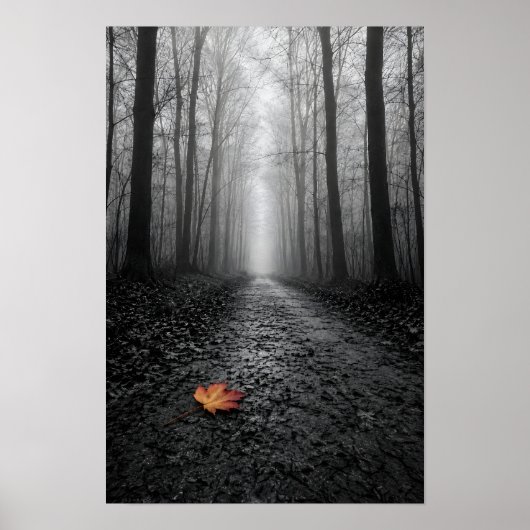 Nebeliger Waldweg Selektive Farbe Poster (Vorne)