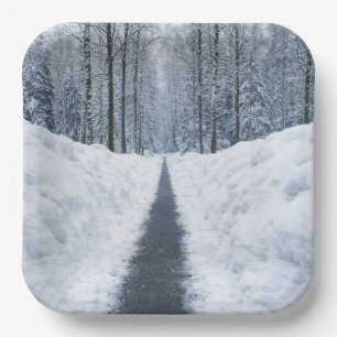 Nebeliger Winterwaldweg Winterlandschaft Pappteller