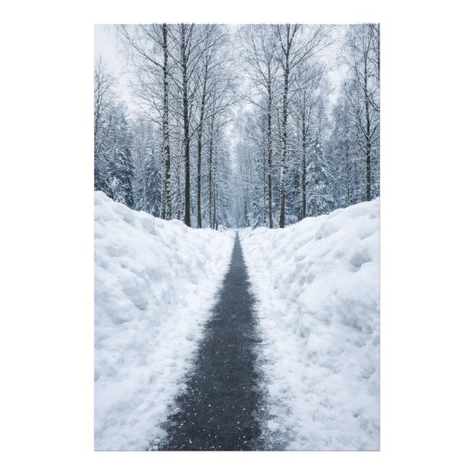 Nebeliger Winterwaldweg Winterlandschaft Poster (Vorne)
