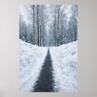 Nebeliger Winterwaldweg Winterlandschaft Poster