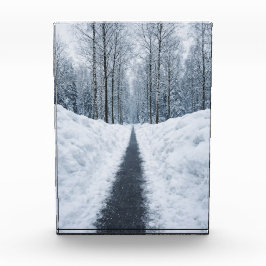 Nebeliger Winterwaldweg Winterlandschaft Poster Fotoblock