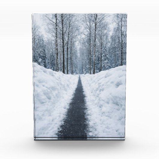 Nebeliger Winterwaldweg Winterlandschaft Poster Fotoblock (Vorderseite)
