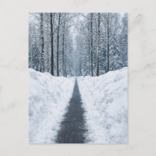 Nebeliger Winterwaldweg Winterlandschaft Postkarte