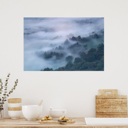 Nebelmorgendliche durch Bäume rollen Poster (Küche)