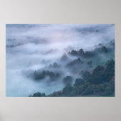 Nebelmorgendliche durch Bäume rollen Poster (Vorne)