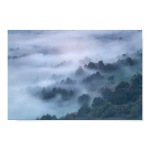 Nebelmorgendliche durch Bäume rollen