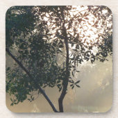 Nebelmorgendlicher Sonnenaufgang Untersetzer (Vorderseite)