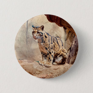 Nebelparder Bild Natur Button