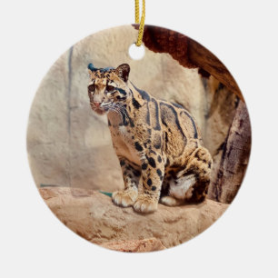 Nebelparder Bild Natur Keramik Ornament