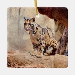 Nebelparder Bild Natur Keramikornament