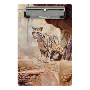 Nebelparder Bild Natur Wildleben exotisch Mini Klemmbrett