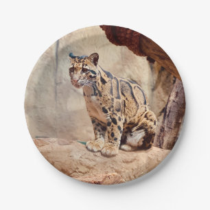 Nebelparder Bild Natur Wildleben exotisch Pappteller