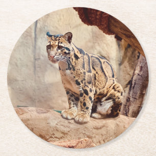 Nebelparder Bild Natur Wildleben exotisch Runder Pappuntersetzer