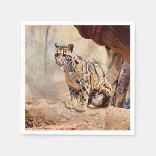 Nebelparder Bild Natur Wildleben exotisch Serviette