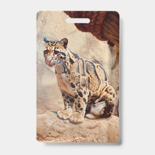 Nebelparder Bild Natur Wildtiere exotisch Ausweis