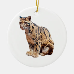Nebelparder-Foto Dschungel große Katze Tier Keramik Ornament