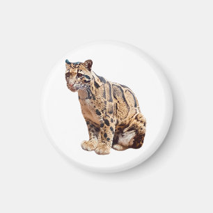 Nebelparder-Foto Dschungel große Katze Tier Magnet