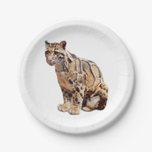 Nebelparder-Foto Dschungel große Katze Tier Pappteller