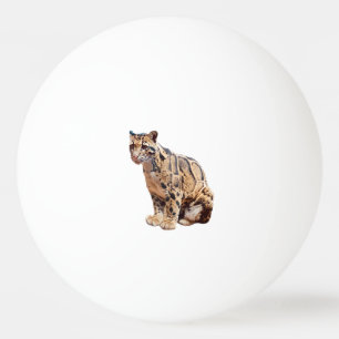 Nebelparder-Foto Dschungel große Katze Tier Tischtennisball