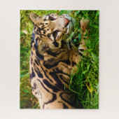 Nebelparder Großkatzen. Puzzle (Vertikal)