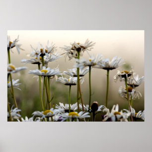 Nebelscheinwerfer Poster