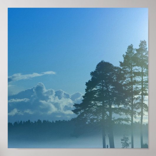 Nebelsee in Finnland Poster (Vorne)