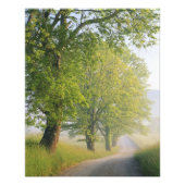 Nebelstrasse, Höhlenbucht, Grosser Raucher Fotodruck (Vorne)