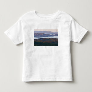 Nebeltal und Herbstlaub in Ozark Kleinkind T-shirt