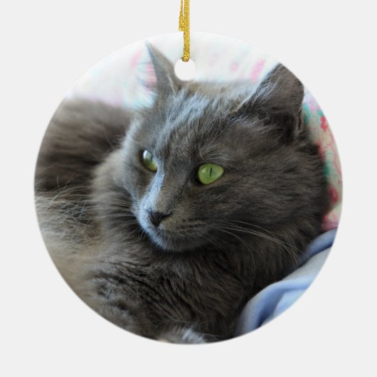 Nebelung Katze Keramik Ornament (Hinten)
