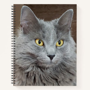 Nebelung Long-Hairs Russian Blue Cat Notebook Notizblock