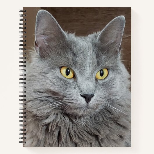 Nebelung Long-Hairs Russian Blue Cat Notebook Notizblock (Vorderseite)