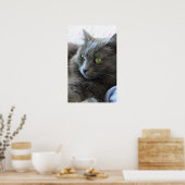 Nebelung Poster (Küche)
