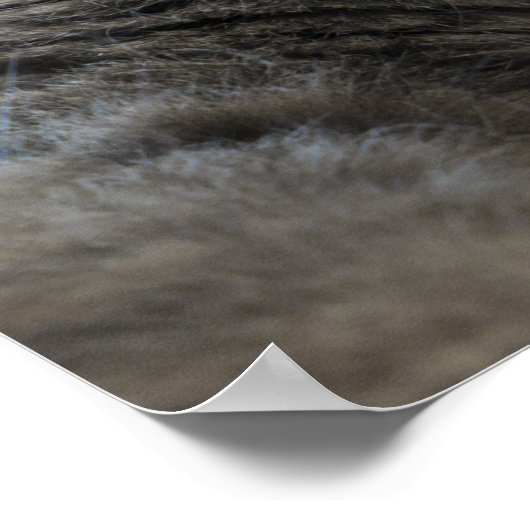 Nebelung Poster (Ecke)