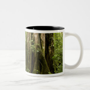 Nebelwald, Bosque de Paz, Costa Rica Zweifarbige Tasse