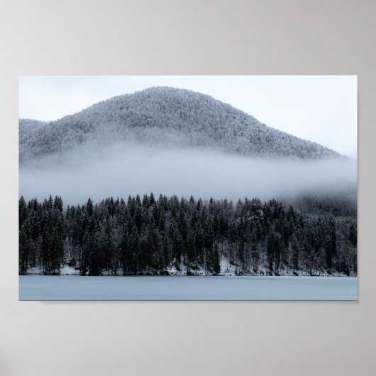 Nebelwald Poster (Vorne)