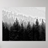 Nebelwald Poster (Vorne)