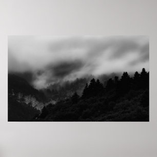 Nebelwald Poster