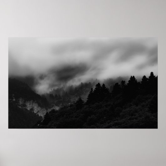 Nebelwald Poster (Vorne)