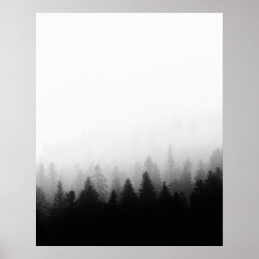 Nebelwald Poster (Vorne)